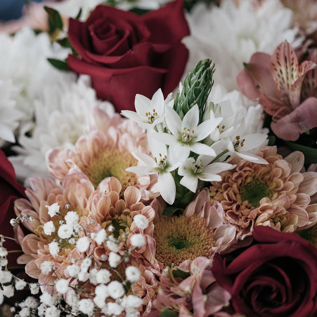 Flores e presentes especiais