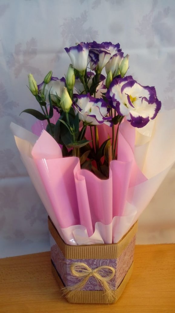 Vasos disponíveis no Recanto das Flores — opção 3